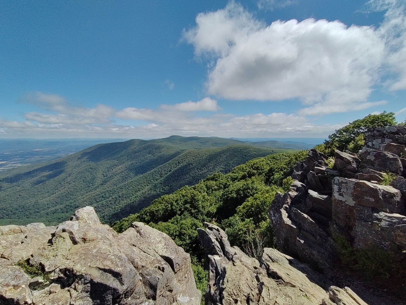 Green Appalachian mountains, seen from an observation platform. 