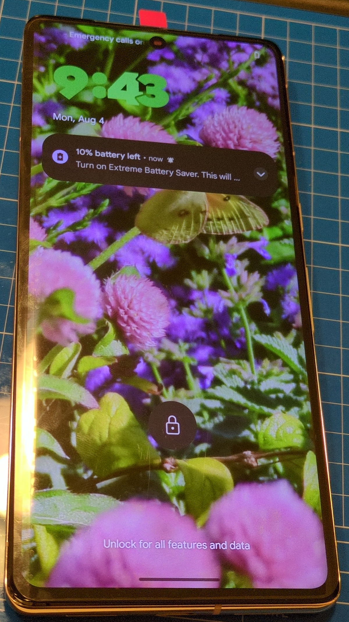 pixel7pro_7.jpg